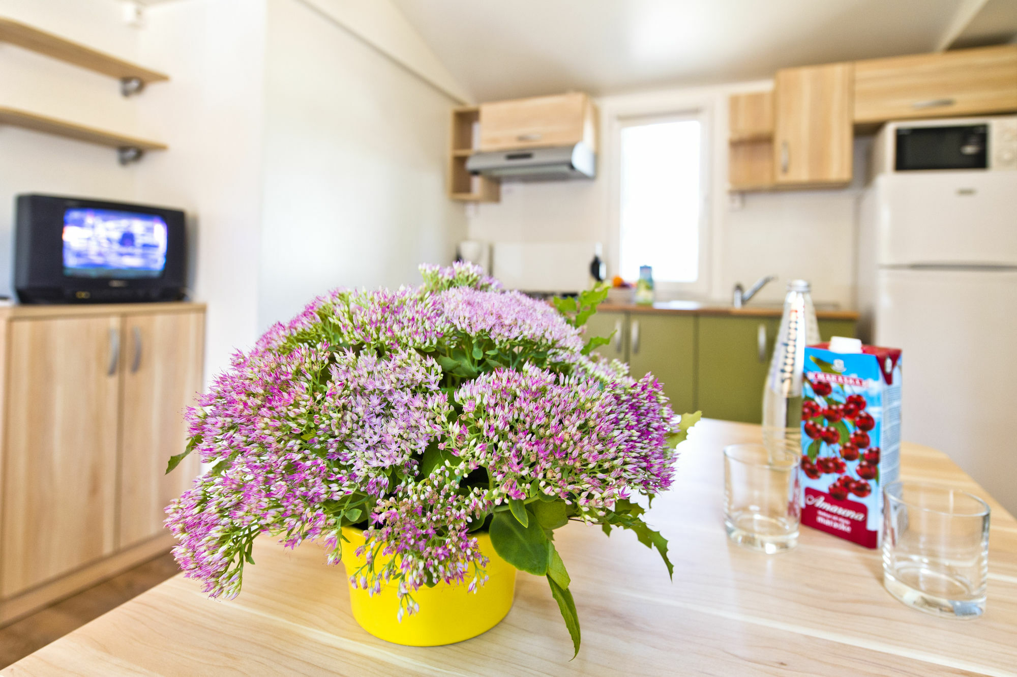 Zaton Holiday Resort Mobile Homes Nin Εξωτερικό φωτογραφία